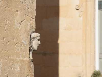 La osserviamo. Il volto � quello di una giovane donna il cui profilo rivela la purezza della linea: fronte liscia, naso diritto e ben proporzionato, labbra sottili e chiuse, appena accennate